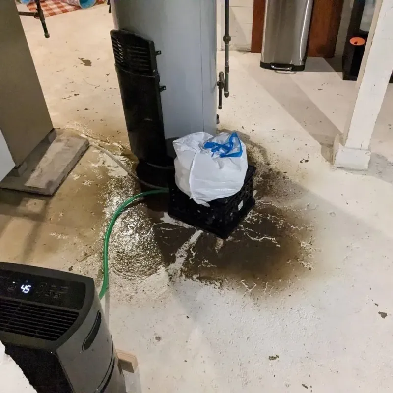 Sewage Backup Cleanup Service in Higganum, CT